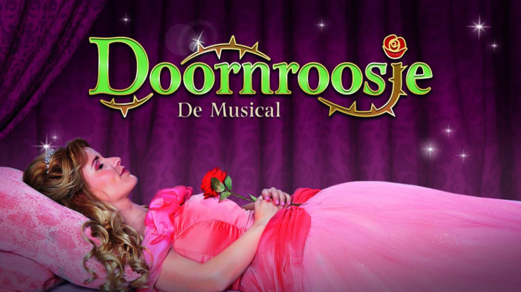 Afbeelding Doornroosje de Musical