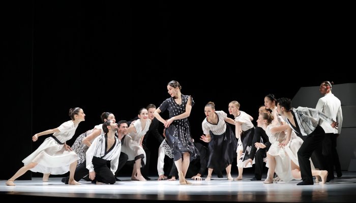 Afbeelding Introdans
