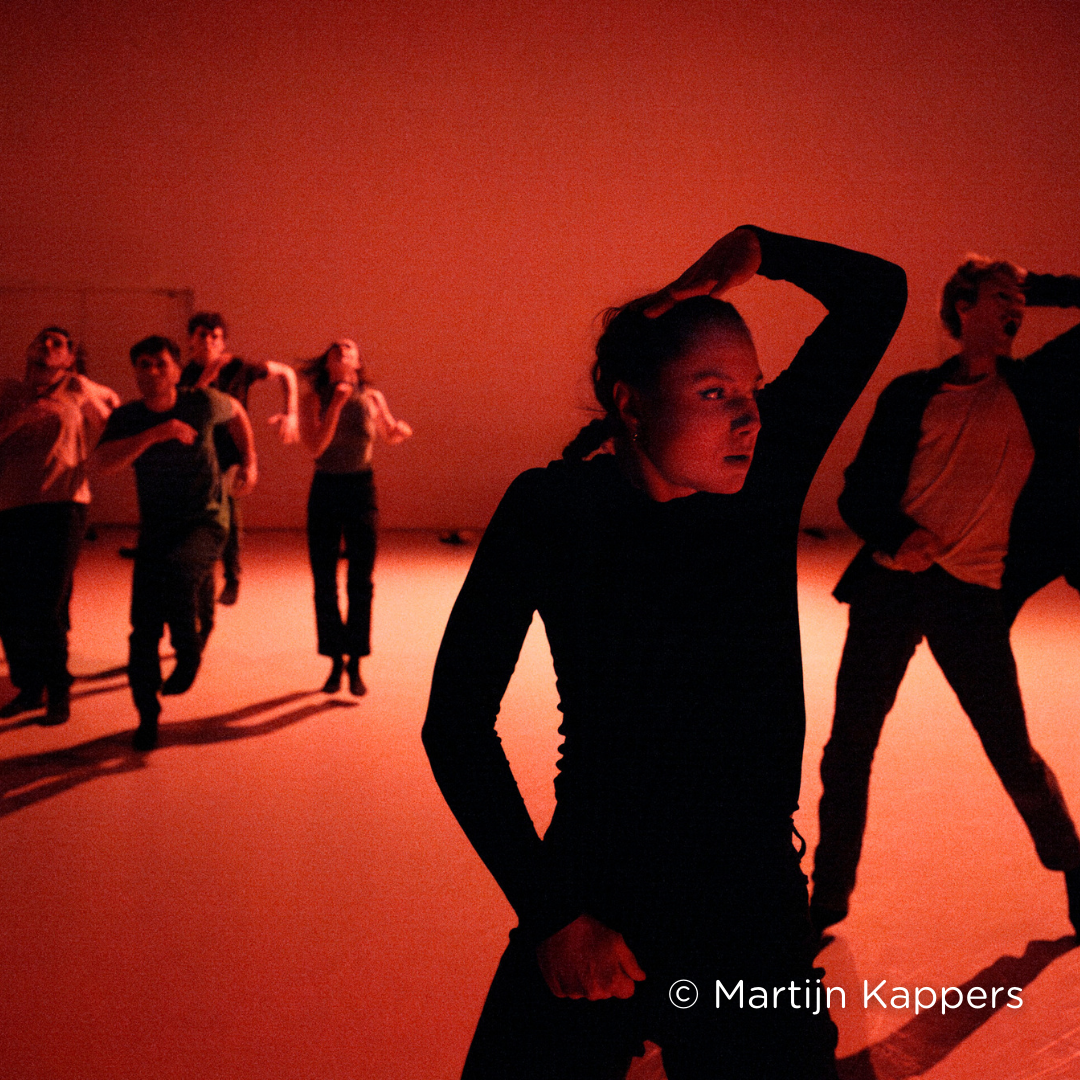 Voorstellingsbeeld Danslokaal 13 van Conny Janssen Danst