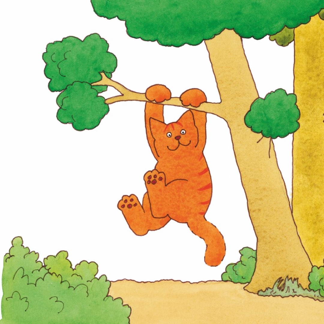 Voorstellingsbeeld Op Avontuur met Dikkie Dik